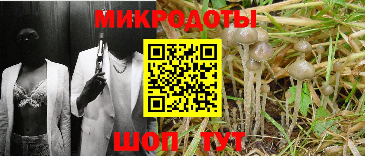 Сызрань  Галлюциногенные грибы Magic Shrooms  Псилоцибиновые грибы Psilocybine cubensis  Вход с VPN 